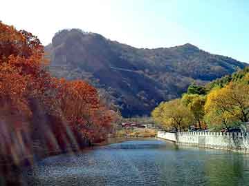 管家婆免费正版资起大全，杜淳深邃眼神迷人